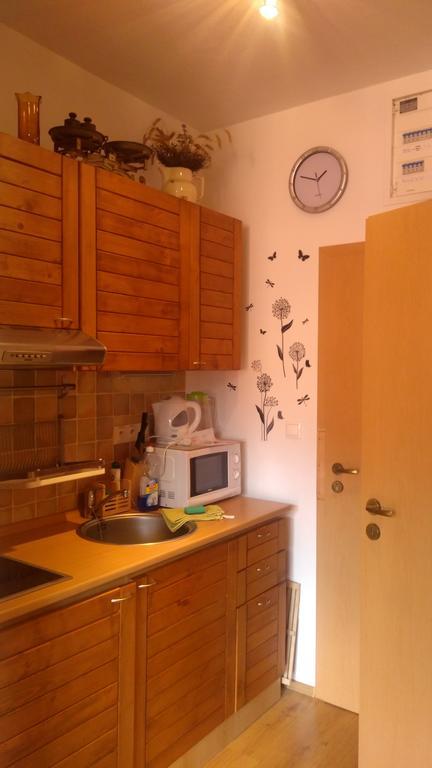 Fatrapark 1 U Sovicky Studio, Kuchynka, Kupelna,S Balkonom Gratis Parkovanie V Podzemnej Garazi รูชอมแบรอค ภายนอก รูปภาพ